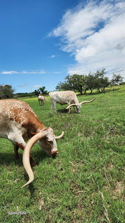 Comanche, TX 76442,1251 Highway 590