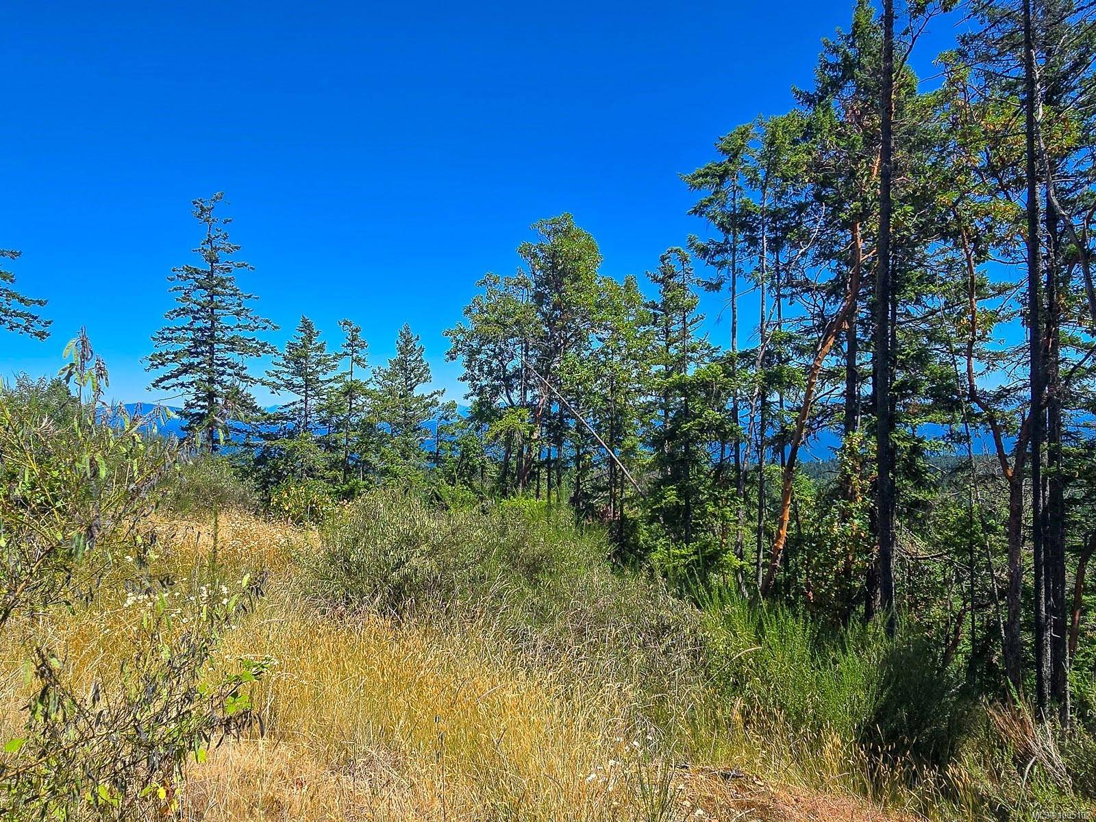 Lantzville, BC V0R 2H0,5040 Broad Ridge Pl