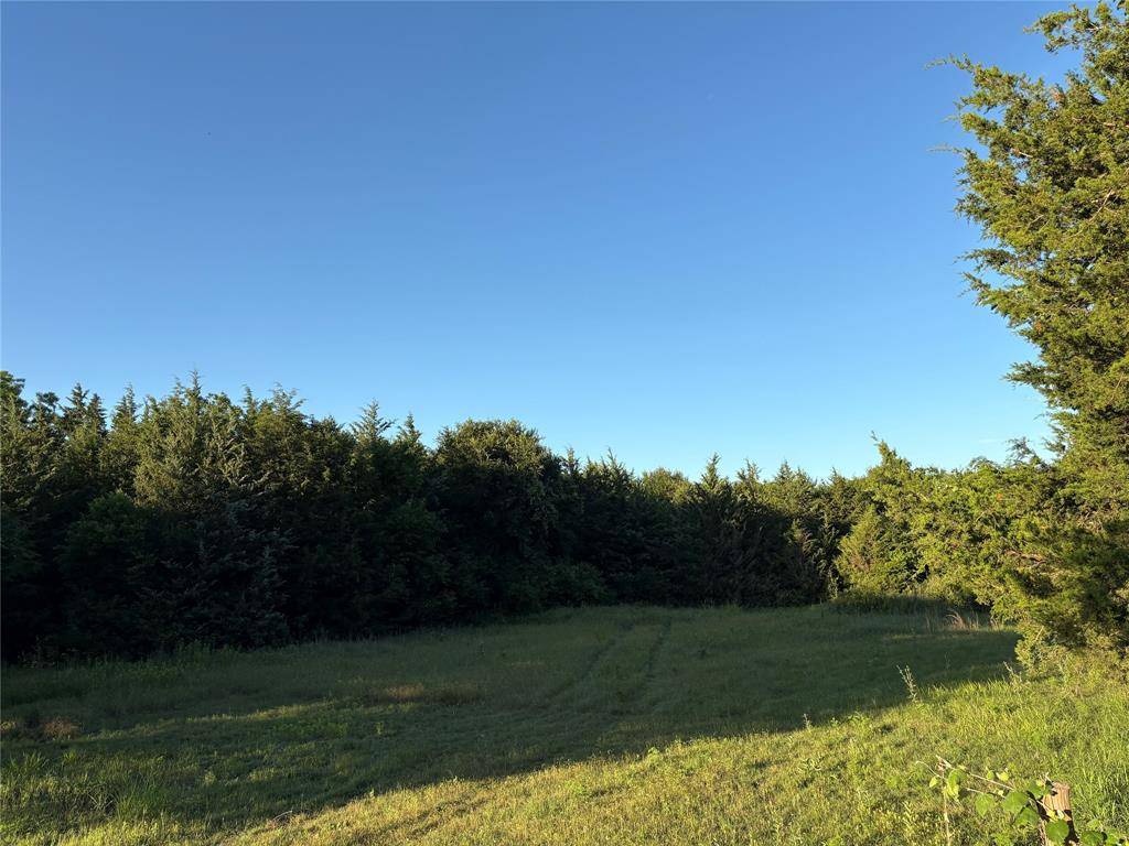 Barry, TX 75102,TBD NW CR 2250 Road NE