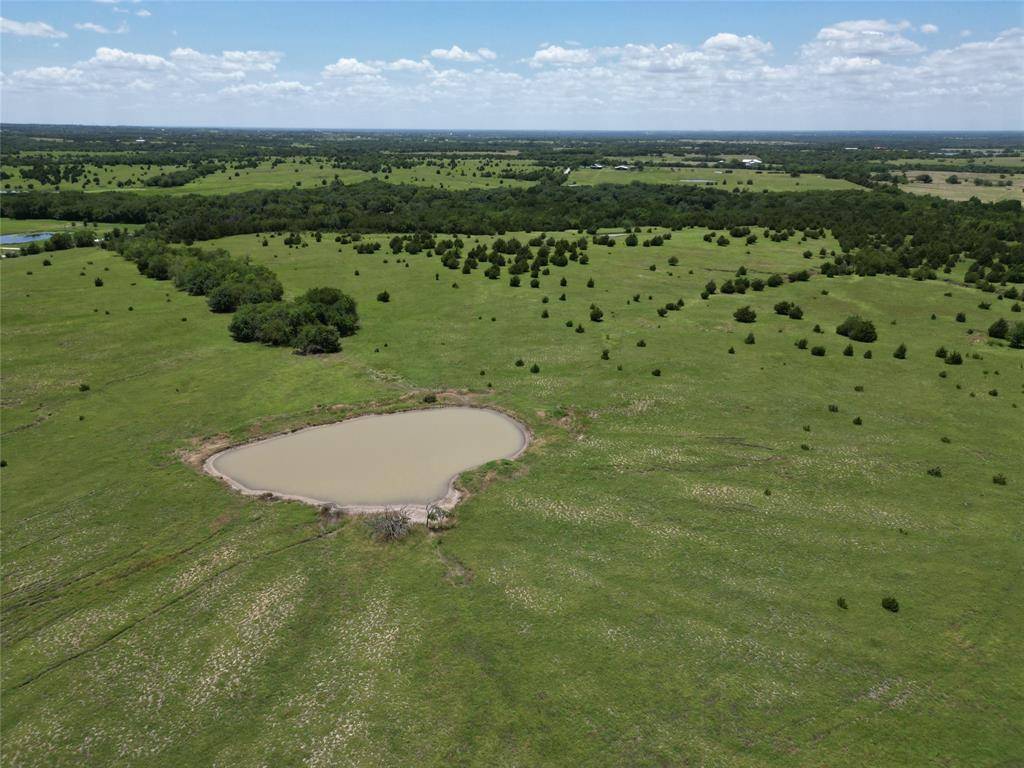 Celeste, TX 75423,13 ac County Road 1098