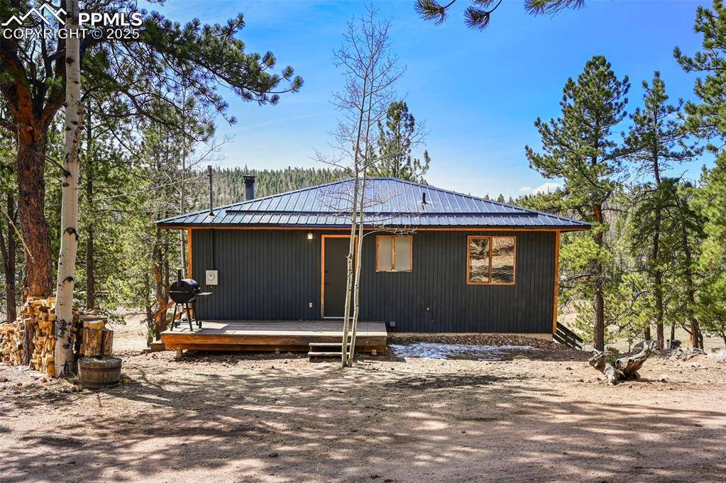 Lake George, CO 80827,29 Deerfield LN