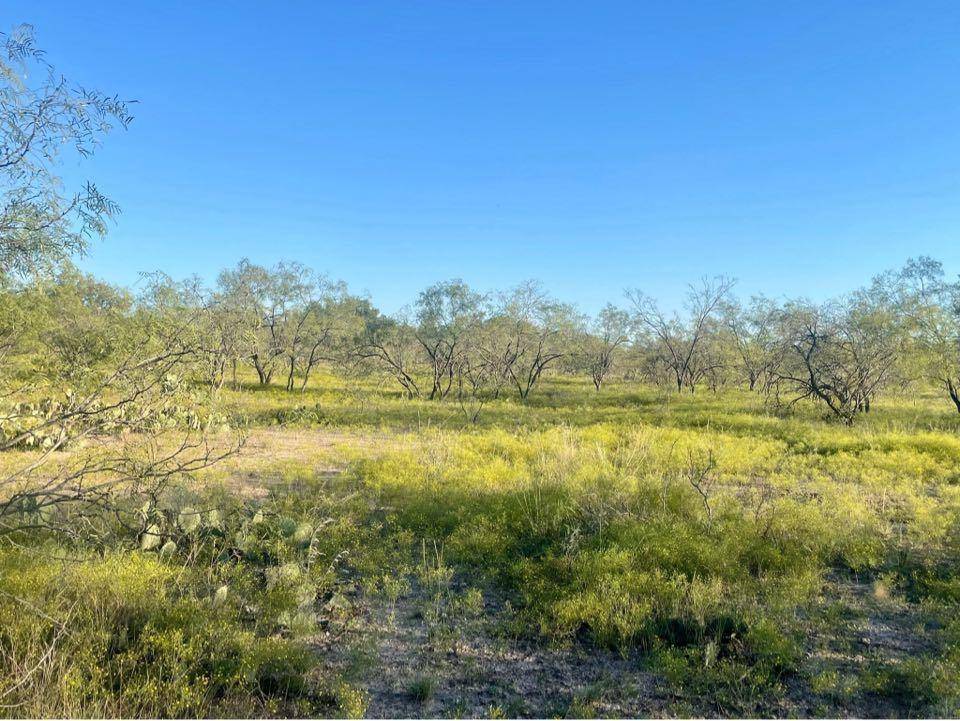 0 FM 176, Eden, TX 76837