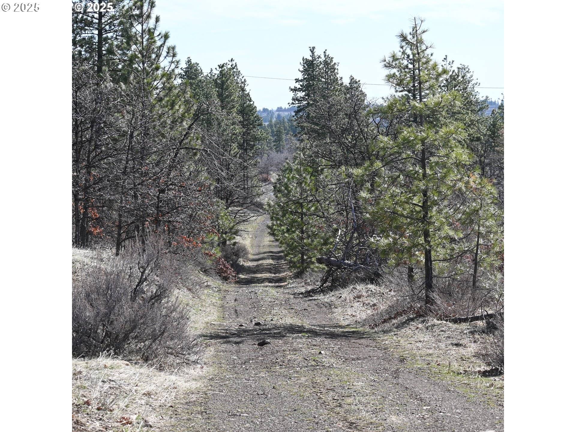 Roosevelt, WA 99356,112 TIMBER RD