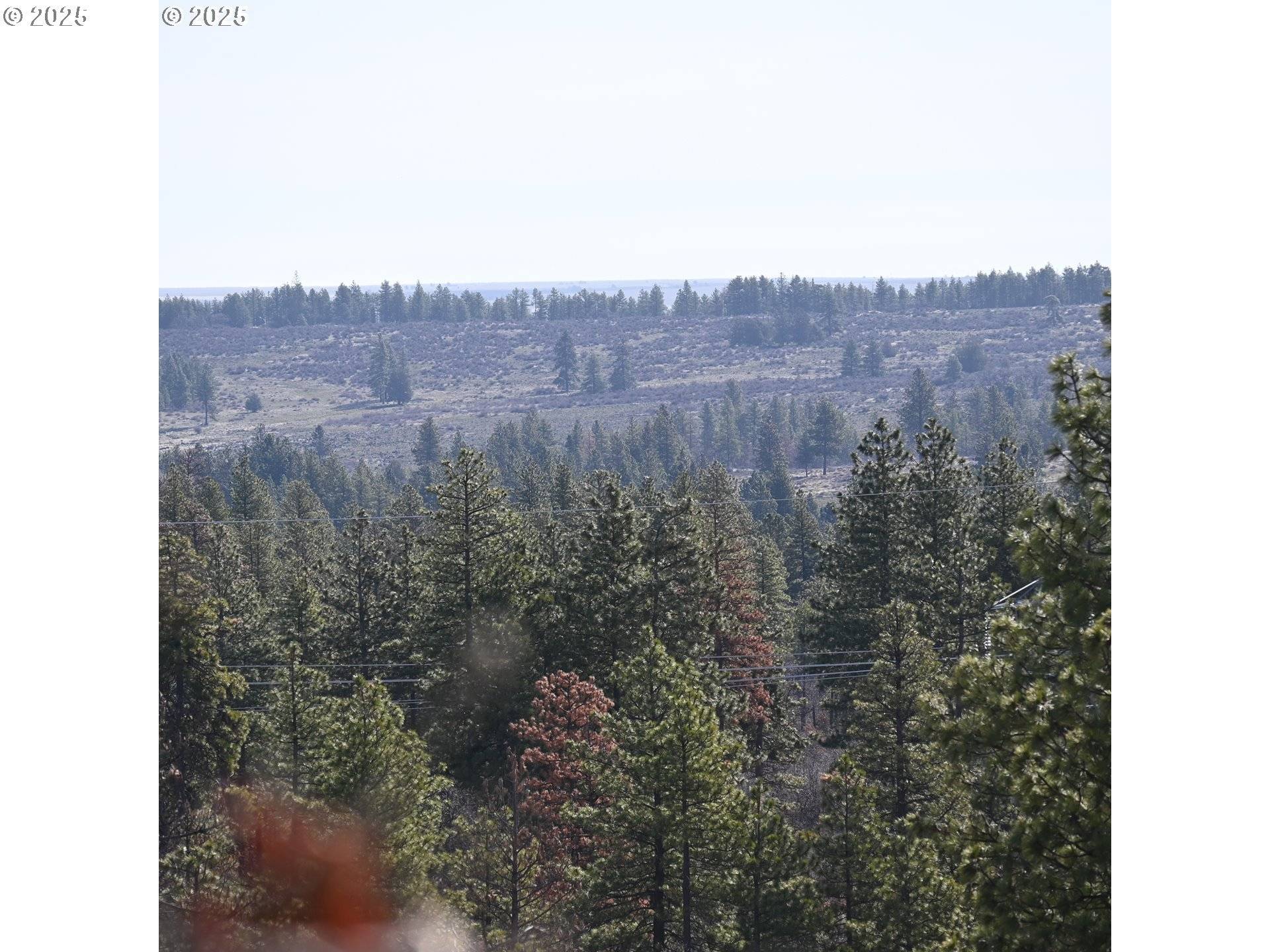Roosevelt, WA 99356,112 TIMBER RD