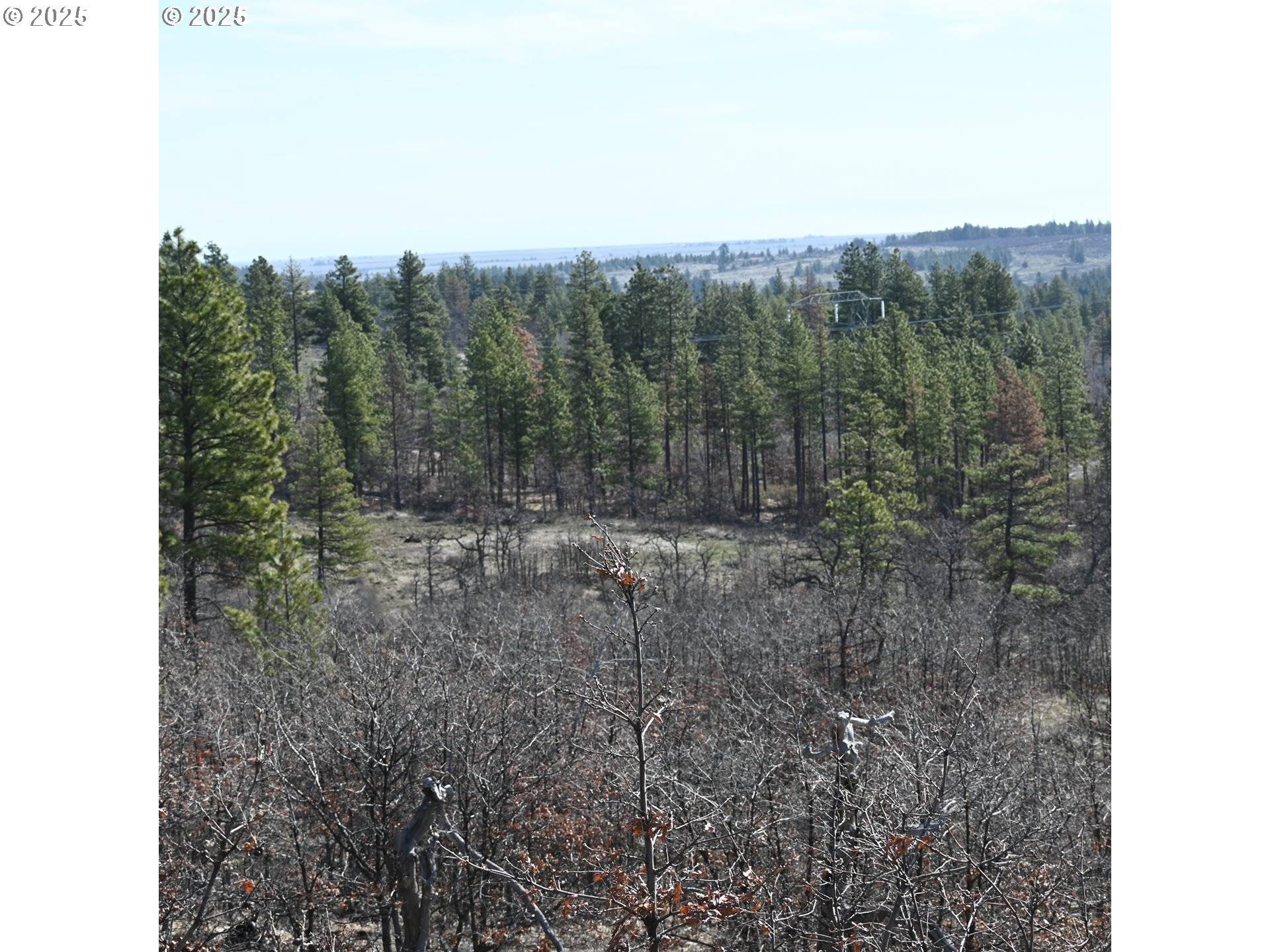 Roosevelt, WA 99356,112 TIMBER RD