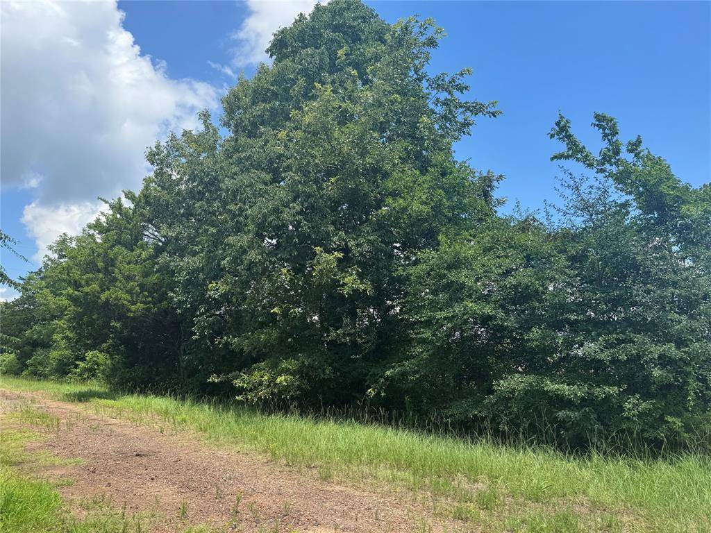 Mount Pleasant, TX 75455,TBD County Road 3925