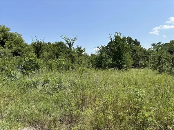 Lot 429 TBD Private Road 7028,  Wills Point,  TX 75169