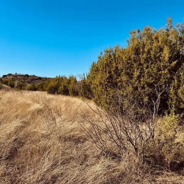 Glen Rose, TX 76043,1093 Preston Valley Trail