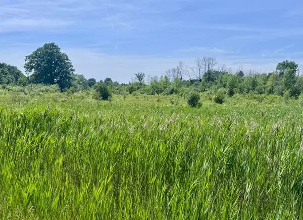 Elizabethtown-kitley, ON K0E 1Y0,00 County Road 8 RD E