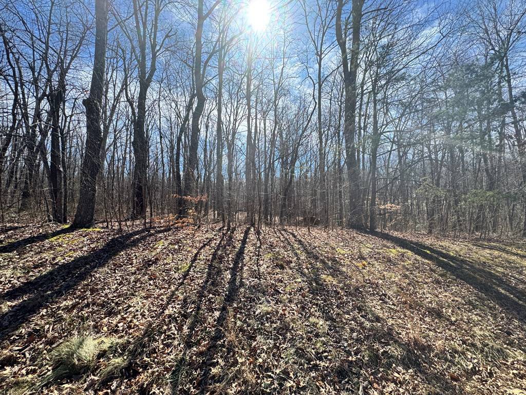 Monterey, TN 38574,0 Davidson Drive