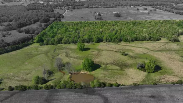 Detroit, TX 75436,0000 Farm Road 1502