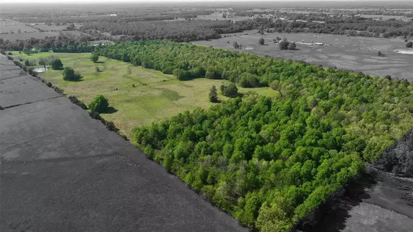 Detroit, TX 75436,0000 Farm Road 1502