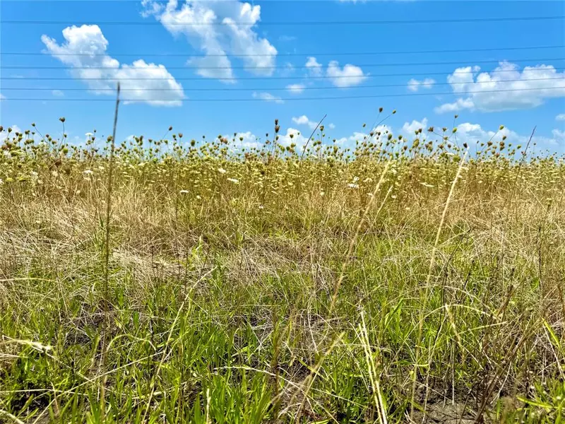 Lot 8 CR-590, Nevada, TX 75173