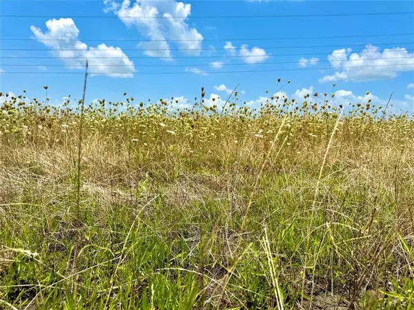 Nevada, TX 75173,Lot 8 CR-590