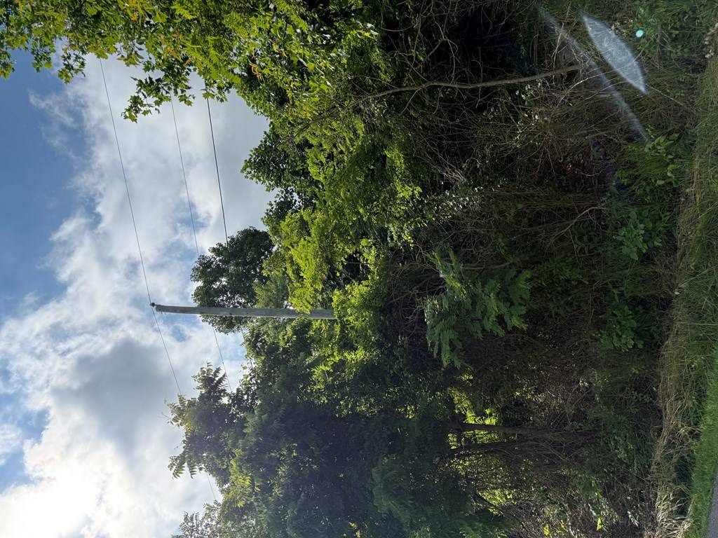 Bristol, VA 24202,0 Dettor Rd