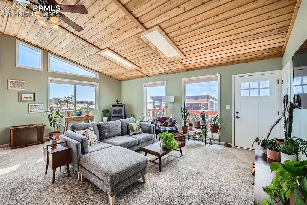 Fairplay, CO 80440,119 Bristlecone LN