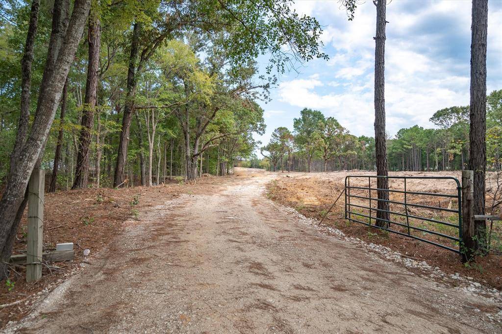Larue, TX 75770,Tract 1 - TBD County Road 4307