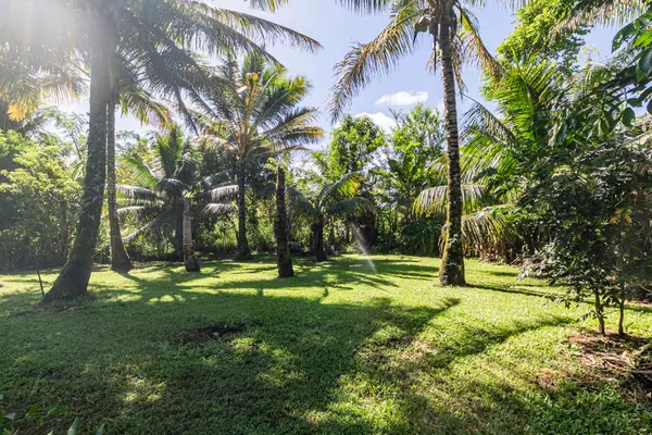 Honomu, HI 96728,28-238 AKAKA FALLS RD