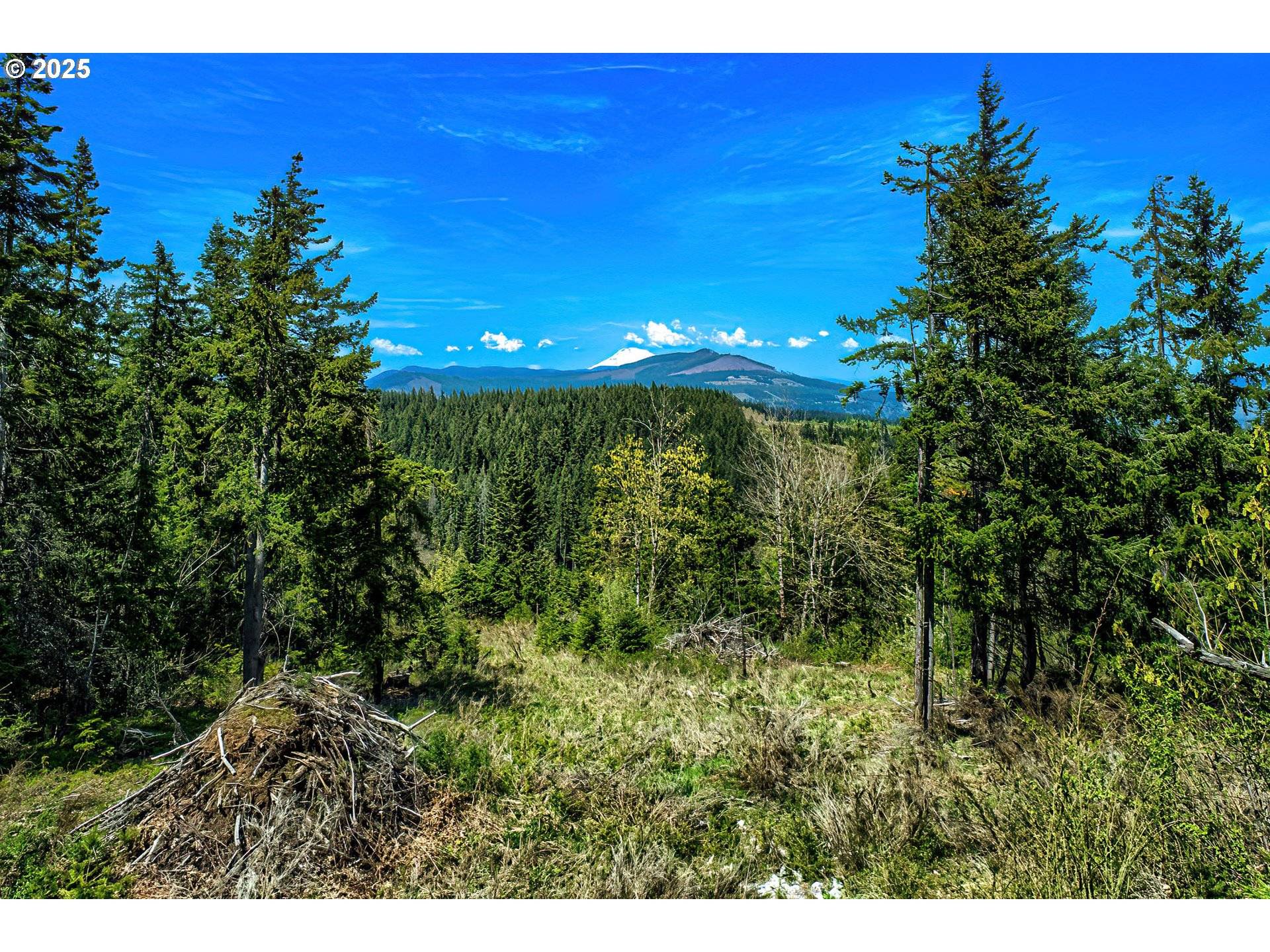 Hood River, OR 97031,5195 YORK HILL DR