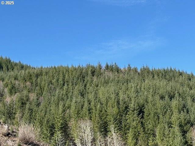 Blodgett, OR 97326,000 Logsden RD