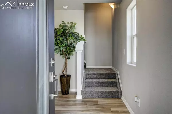 Colorado Springs, CO 80923,7383 Cornice PT