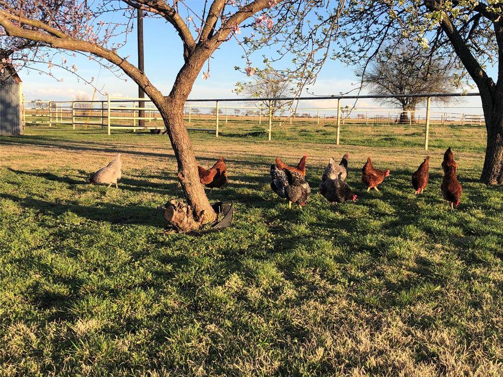 Gunter, TX 75058,20967 Farm Market 121