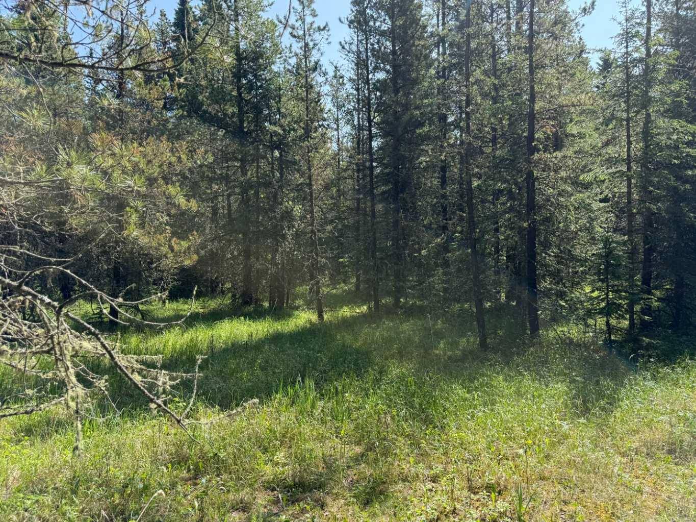 Rural Rocky View County, AB T4C 2W1,282226 Range Road 54A