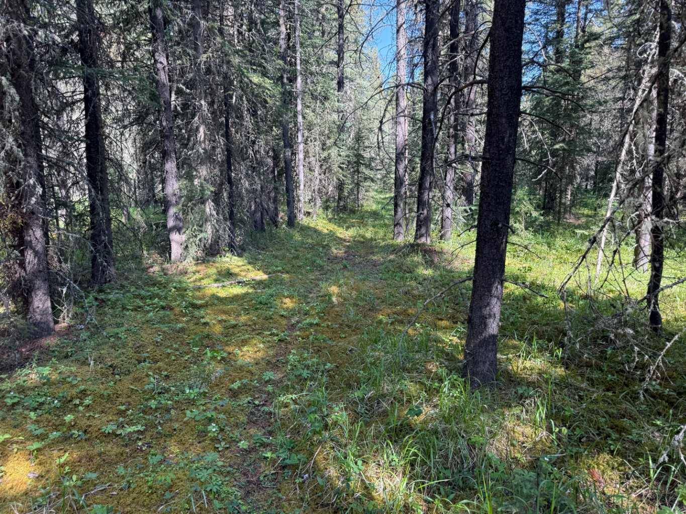 Rural Rocky View County, AB T4C 2W1,282226 Range Road 54A