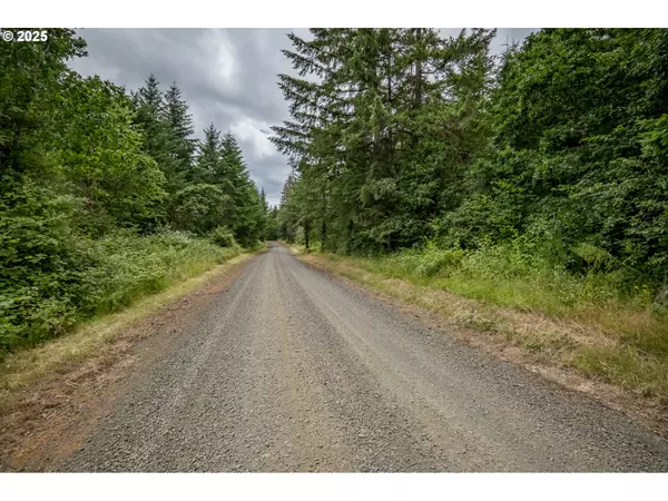 Dallas, OR 97338,0 McTimmonds RD
