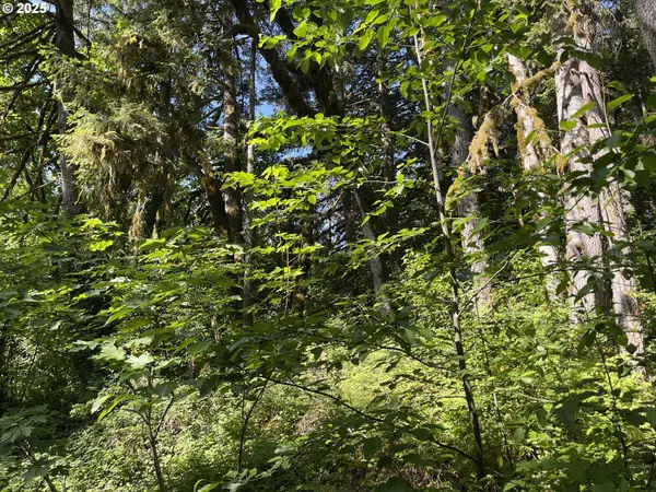 Willamina, OR 97396,Rock Creek RD
