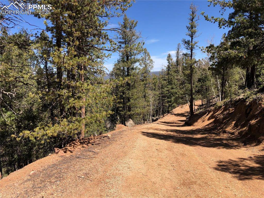 Woodland Park, CO 80863,213 Osoeola RD