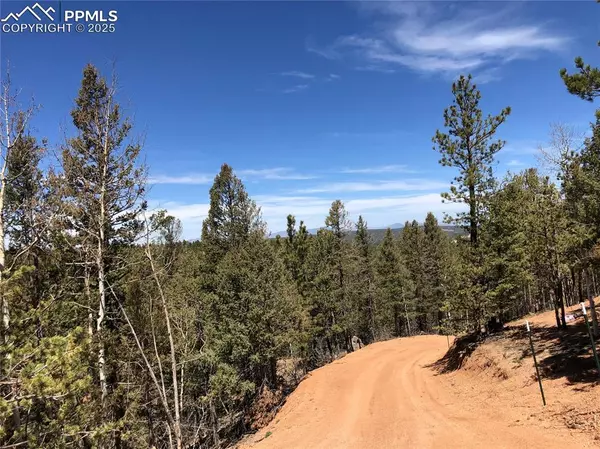 Woodland Park, CO 80863,195 Osoeola RD