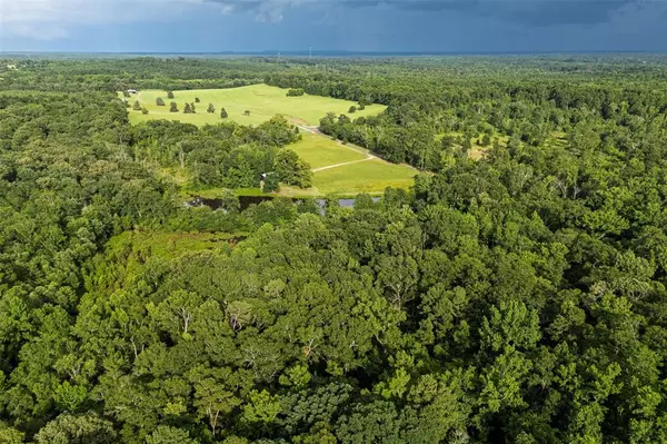 Gilmer, TX 75644,00 Lemon Rd.