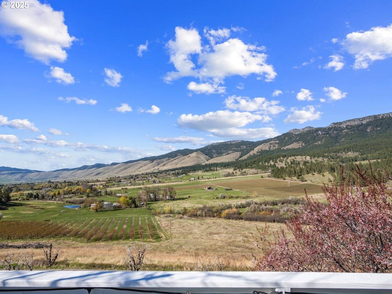 Cove, OR 97824,67852 RUTH LN