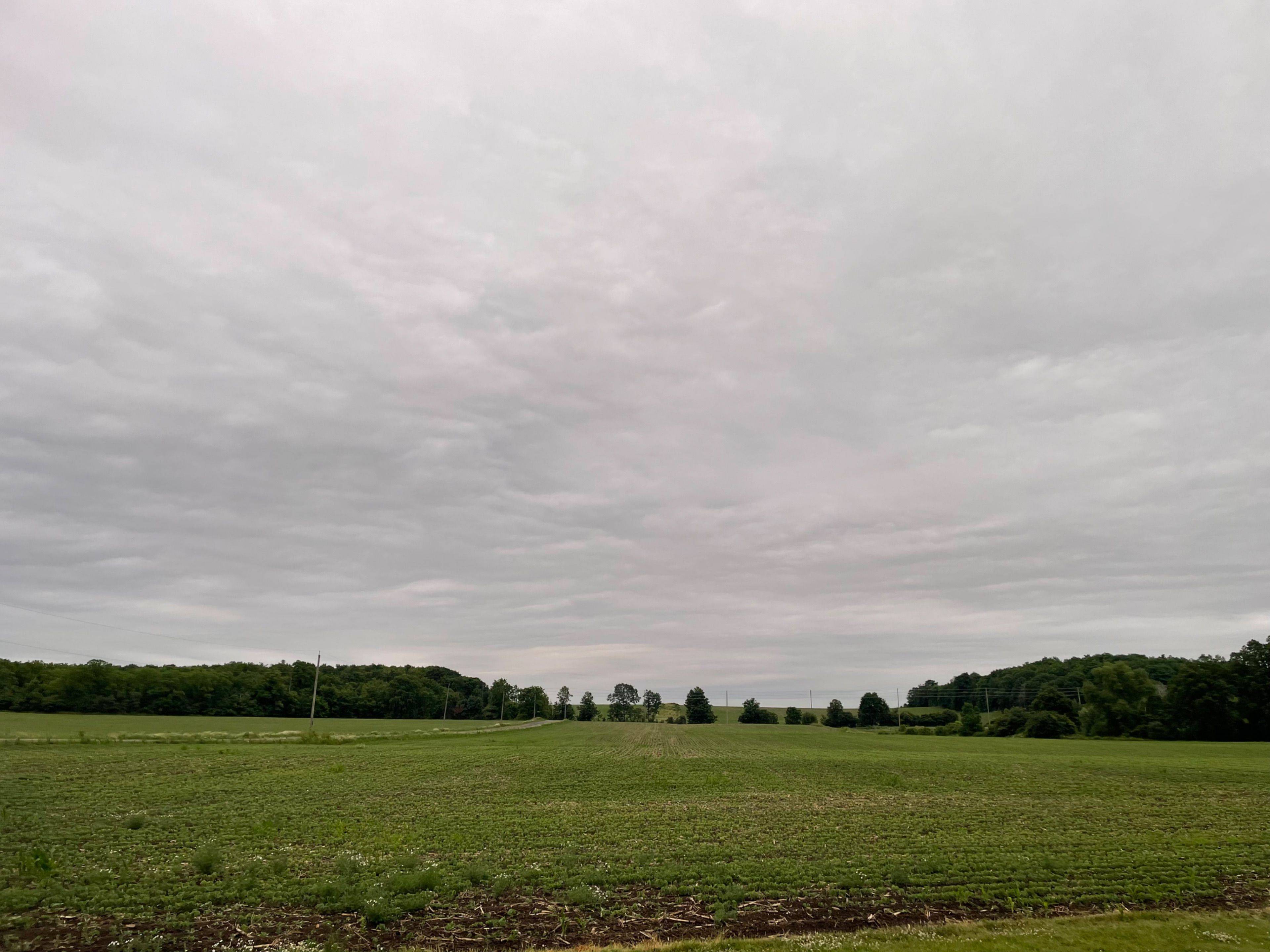 8482 Sixth Line, Halton Hills, ON L7G 4S6