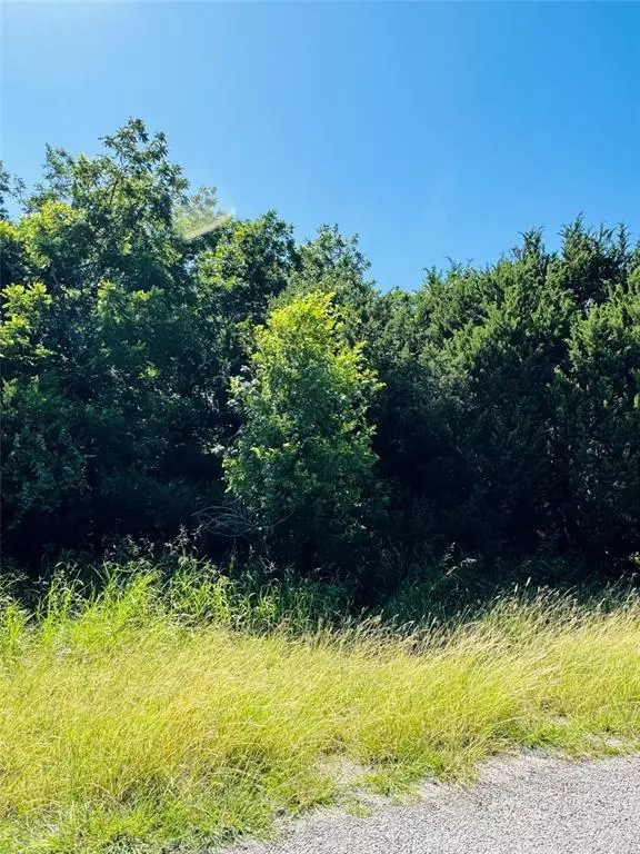 34051 Stonewood Loop, Whitney, TX 76692