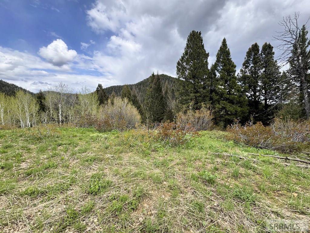 Island Park, ID 83429,TBD Price Road