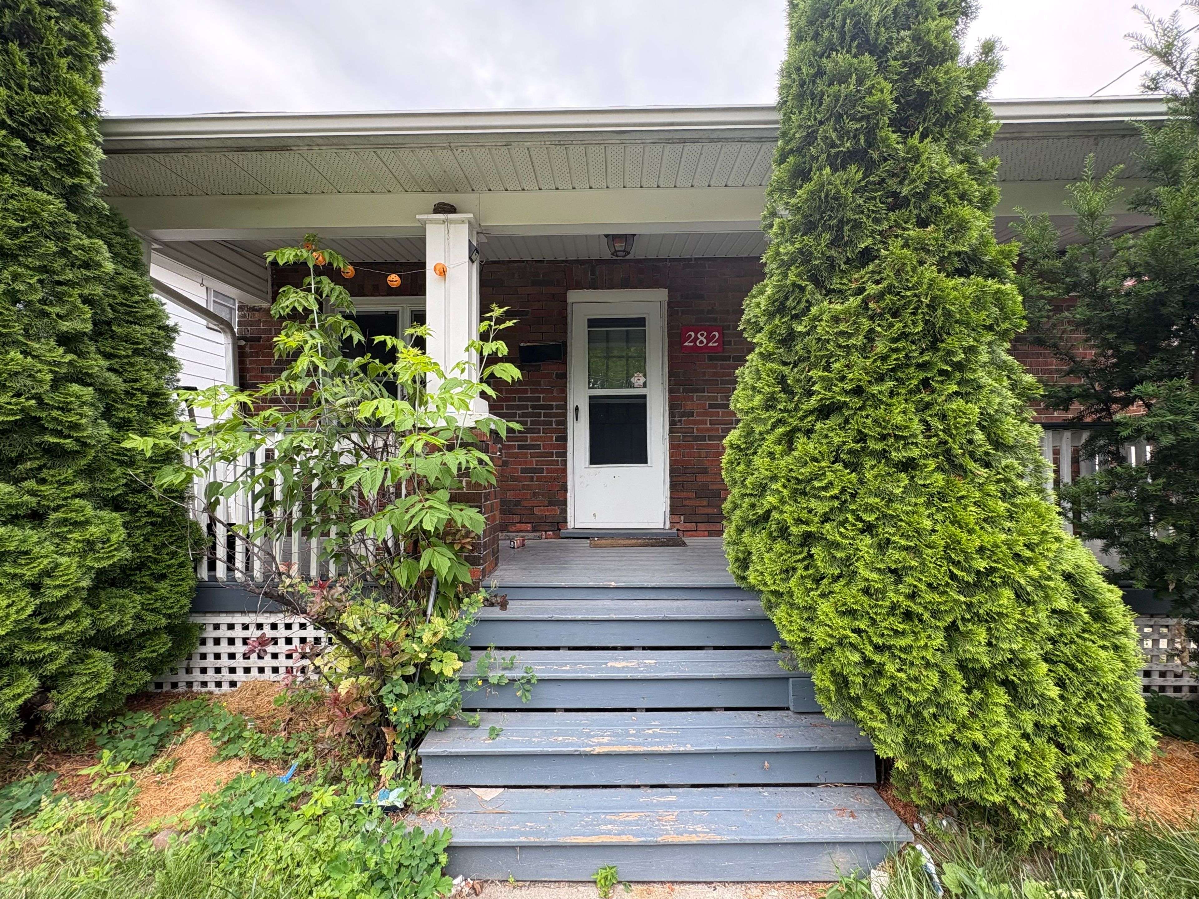 Oshawa, ON L1G 5N8,282 Haig ST