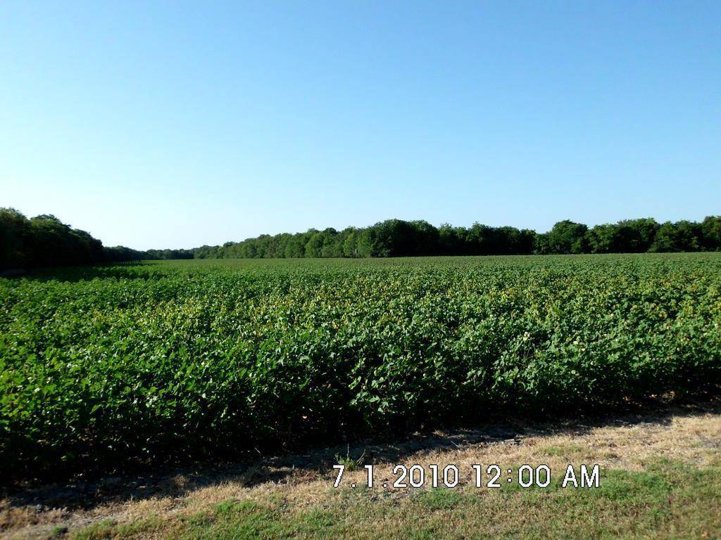 Malone, TX 76660,TBD Fm 744