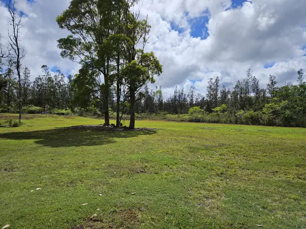 Mountain View, HI 96760,16-1436 UHINI ANA RD