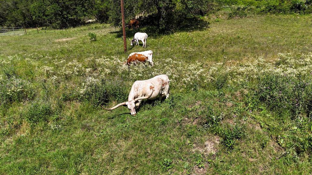 156 PR 3626, Springtown, TX 76082