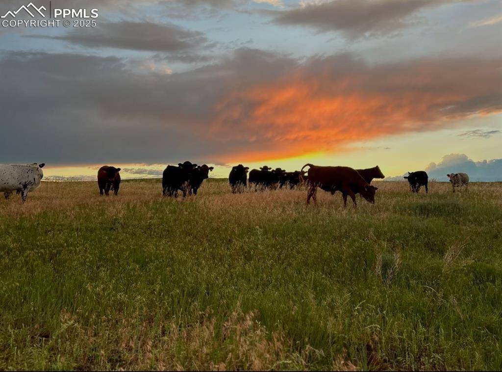 Ramah, CO 80832,Parcel 1 Oil Well RD