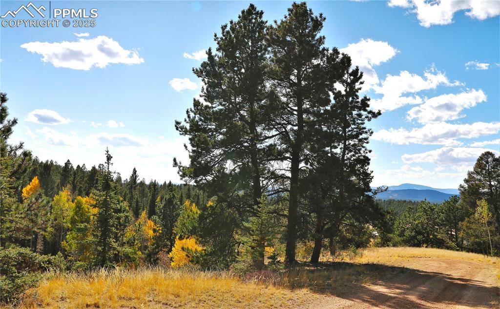 Florissant, CO 80816,130 Oak LN