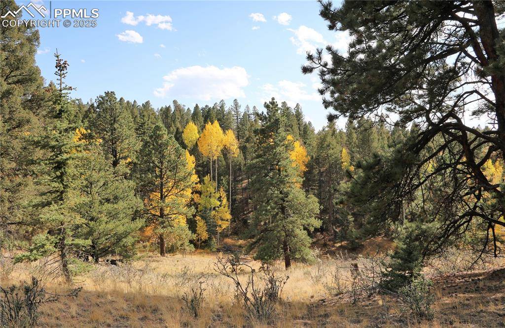 Florissant, CO 80816,130 Oak LN