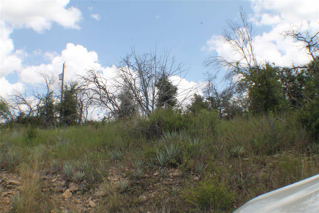 Brownwood, TX 76801,N/A Newcastle Dr
