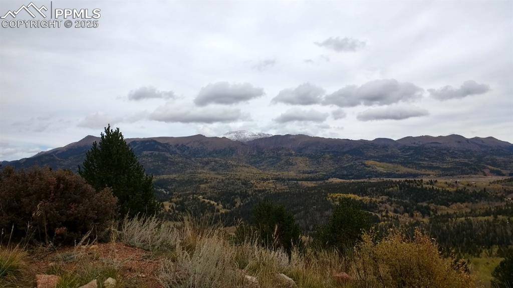 Cripple Creek, CO 80813,Highway 67