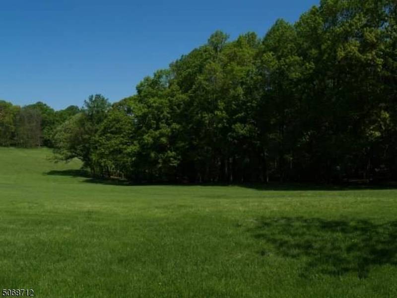 Mendham Twp., NJ 07945,7 Exmoor Drive