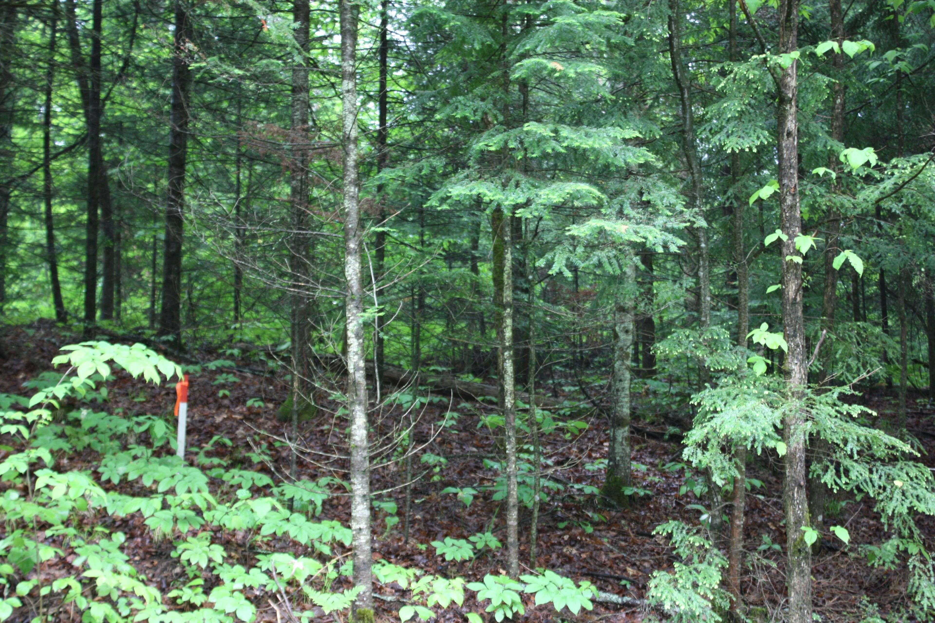 0 Quarry RD, Bancroft, ON K0L 1C0