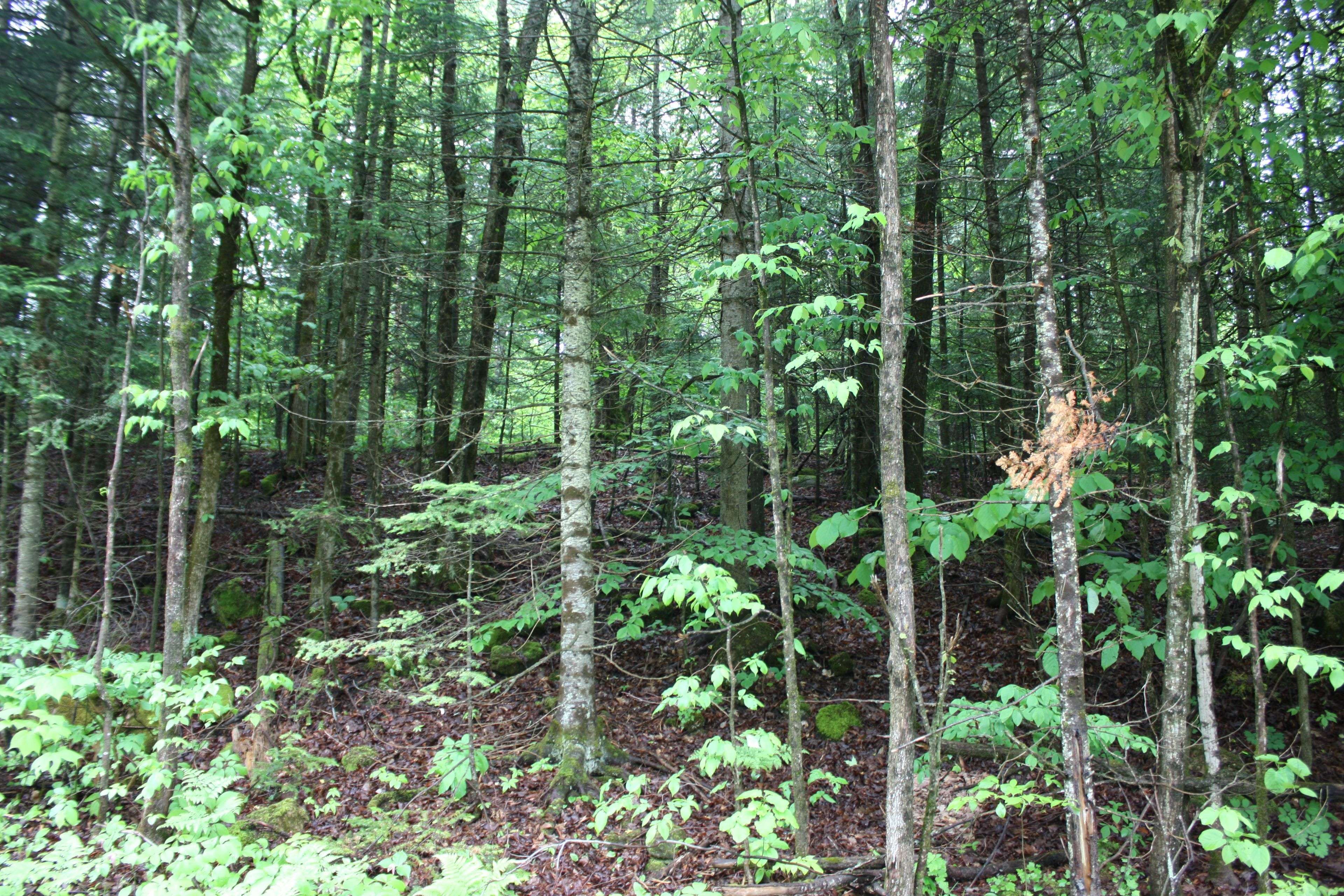 Bancroft, ON K0L 1C0,0 Quarry RD