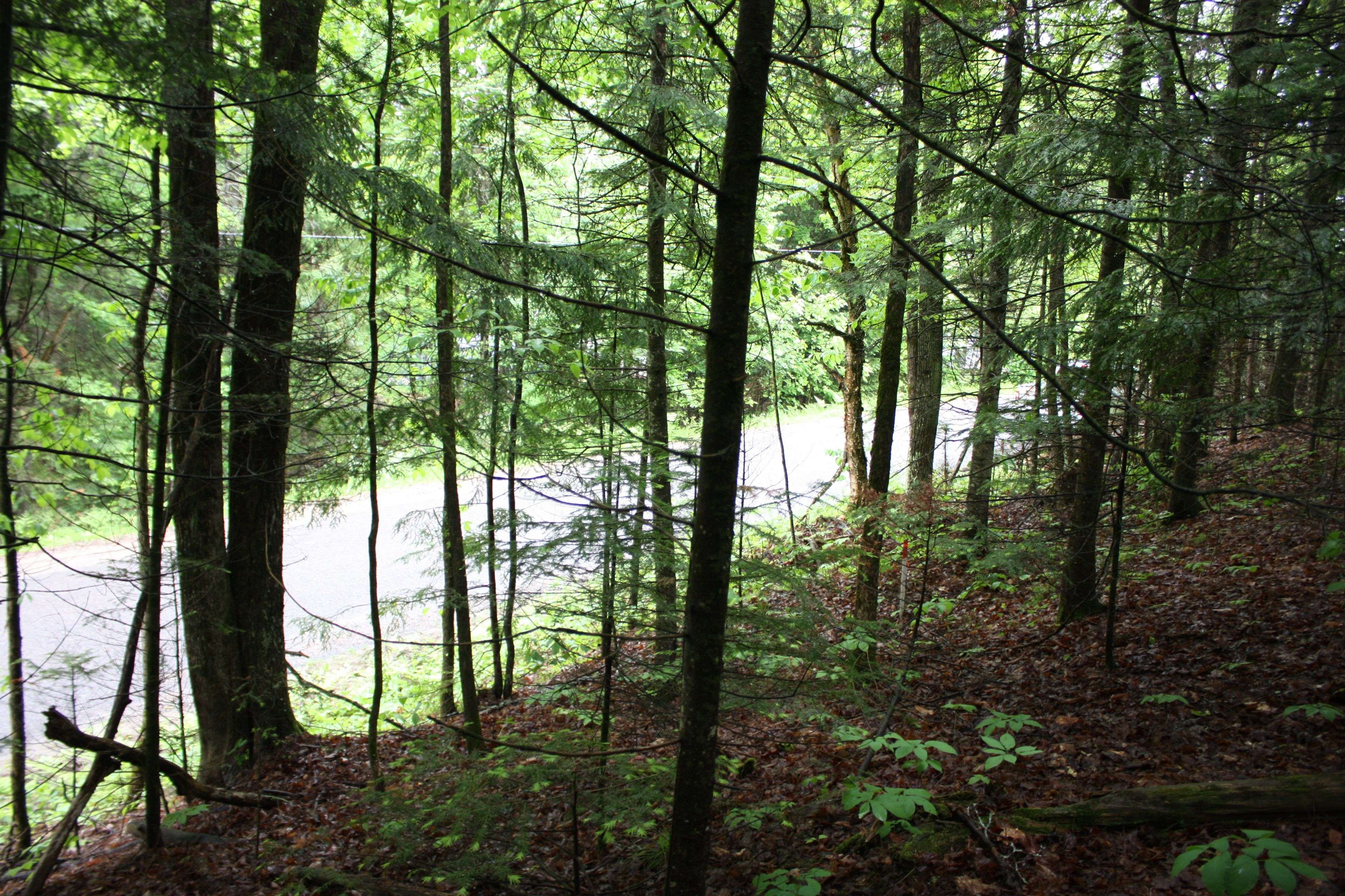 Bancroft, ON K0L 1C0,0 Quarry RD